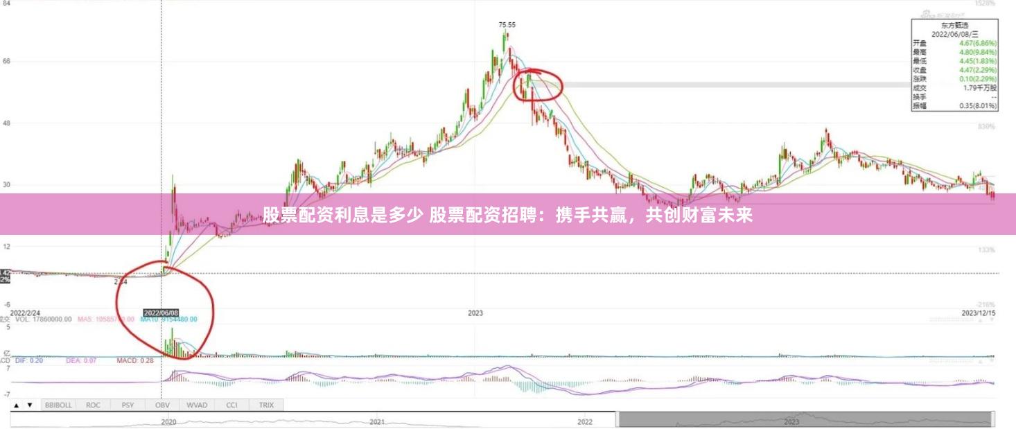 股票配资利息是多少 股票配资招聘：携手共赢，共创财富未来